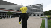 Wu_Shock comeon wsu wu wushock GIF