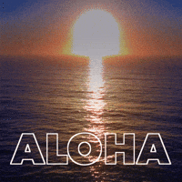 Sunset Aloha GIF by GIPHY Studios 2021