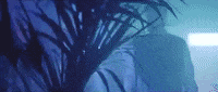 Konstatninos Droulias GIF by Droulias Brothers