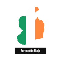 Ireland Flag Sticker by Formación Ninja
