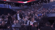 ufc fight night sport GIF by UFC