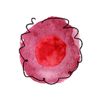 LaColectiva flores fyja festivalfyja fyjapolancoenflores Sticker