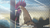 Wandering I Was Born GIF by Adult Swim