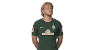 werder bremen wtf Sticker by Bundesliga