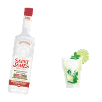 RHUM-SAINT-JAMES party cheers cocktail rum Sticker