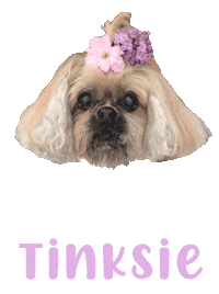 Dog Sticker