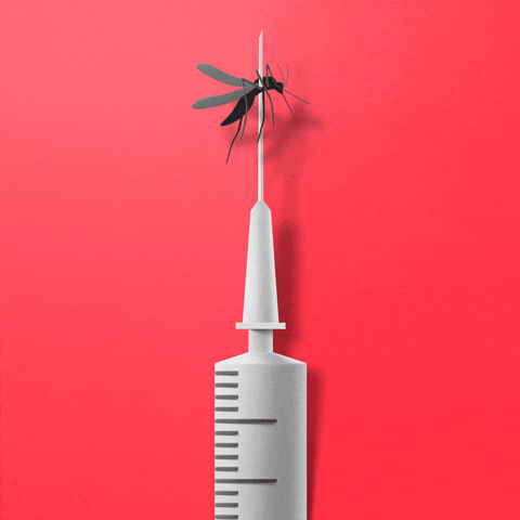 zika virus GIF by The New Yorker