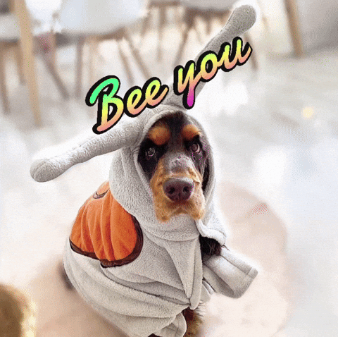 Snail Cute Puppy GIF