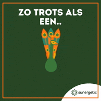 Suner25 GIF by Sunergetic