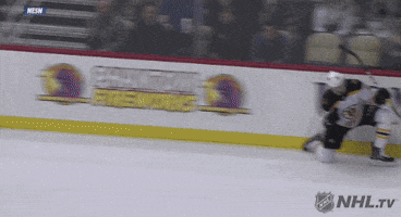 Happy Ice Hockey GIF by NHL