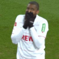 1 Fc Cologne Football GIF by 1. FC Köln