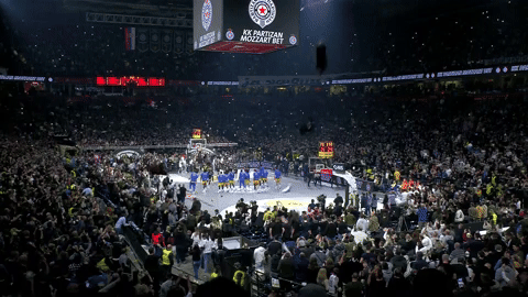 Kkp GIF by Basketball Club Partizan