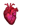 San Valentin Love Sticker by VDP Noticias