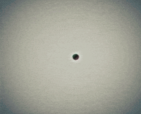 century GIF by Feist