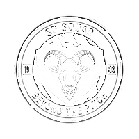 sports direct sd squad Sticker by SD Football