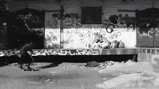 Dylan Rieder Skateboarding GIF by sportseditor