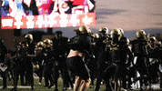 College Football Sport GIF by Texas State Football