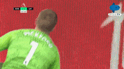 Premier League Football GIF by MolaTV