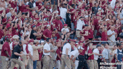 florida state football GIF by SHOWTIME Sports