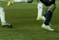 Philly Meg GIF by Philadelphia Union