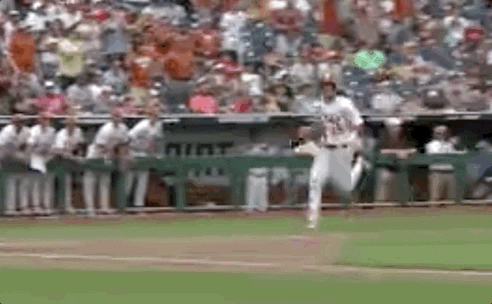 Baseball College GIF by NCAA Championships