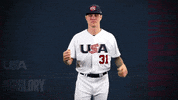 Pro GIF by USA Baseball