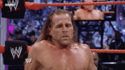 shawn michaels wrestling GIF by WWE