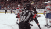 Happy Buffalo Sabres GIF by NHL