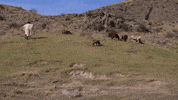 conan obrien running GIF by Team Coco