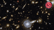 Universe Galaxy GIF by ESA/Hubble Space Telescope