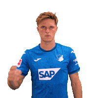 Sport Bundesliga Sticker by TSG Hoffenheim