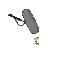 Sound Recording Sticker