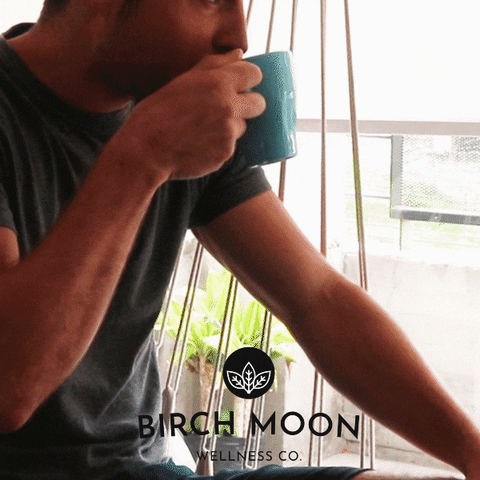 birchmoon giphyupload tea cup tea time GIF