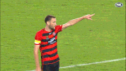 wswanderersfc reaction football wanderers western sydney wanderers GIF