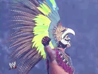 rey mysterio wrestling GIF by WWE