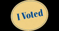 Vote Reaction GIF by Crooked Media