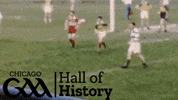 Gaelic Football Gaa GIF