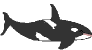 whale killer STICKER