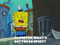 season 8 episode 24 GIF by SpongeBob SquarePants