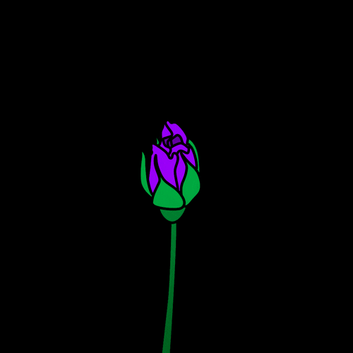 Flowers Rose GIF by Malaea