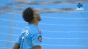 Celebration Yes GIF by MolaTV