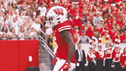 Football Celebration GIF by Wisconsin Badgers