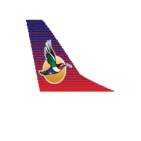 Fly Flying Sticker by Airlink