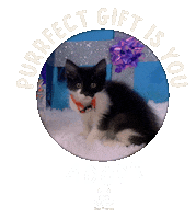 Adopt Best Friends Sticker by Best Friends Animal Society