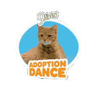 Morristhe9LivesCat dance cat happy dance adoption Sticker