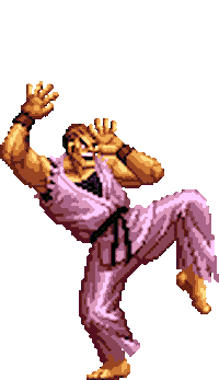 karate fighting Sticker