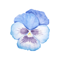 Spring Blue Flower Sticker