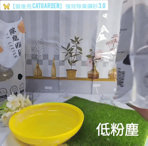 體驗｜不藏私！貓旅館也愛用的貓砂品牌開箱【貓後苑 CatGa