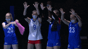 Rejected Sport GIF by Volleyball World
