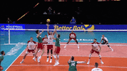 Rejected Boom GIF by Volleyball World